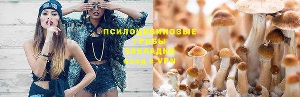 СК Покров