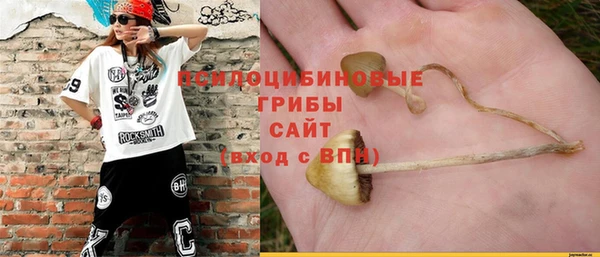 СК Покров