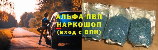 PSILOCYBIN Протвино