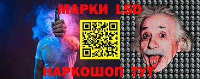 индика Гусев