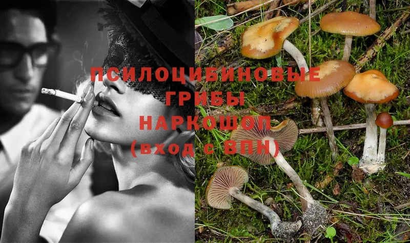 что такое   МЕГА сайт  Псилоцибиновые грибы Psilocybe  Лангепас 